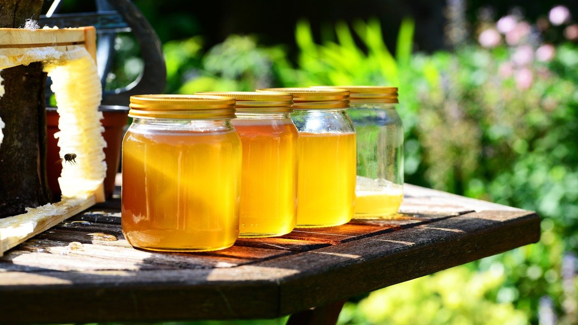 Quels sont les bienfaits du miel ?