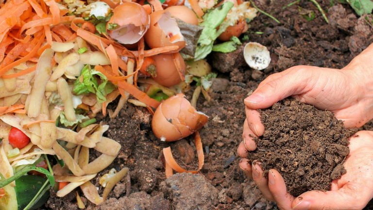 Biodéchets : pourquoi la solution du compostage est si satisfaisante ?