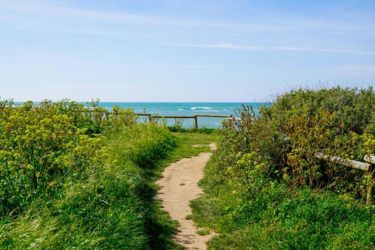 Île d’Oléron : à la découverte des 8 villages de l’île