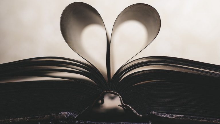 Où trouver les meilleurs livres de new romance ?